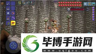 柯娜精神之桥水神社的灵魂信物在哪里-探秘隐藏在柯娜世界中的神秘物品