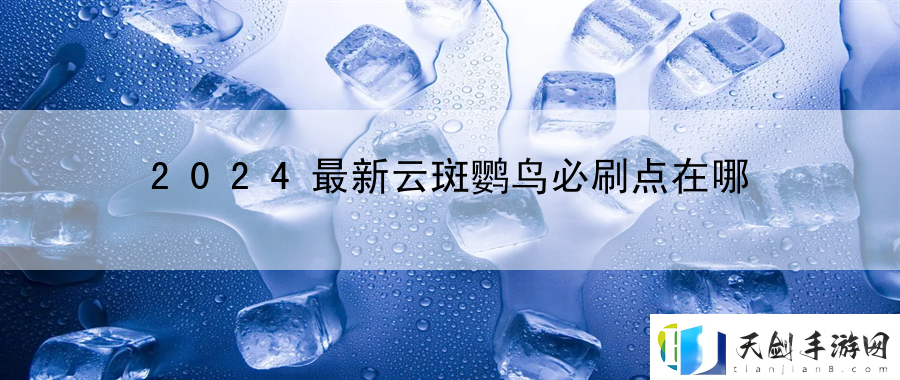 2024最新云斑鹦鸟必刷点在哪：分享高效的技能点升级方法