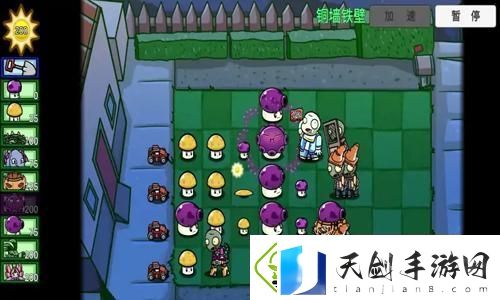 魔兽世界周边产品全解析：从游戏到现实-如何将艾泽拉斯的魅力带入生活