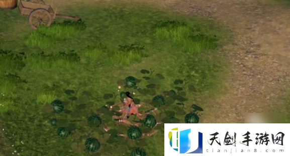剑网3露园事宠物奇遇怎么做
