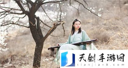 青丝影院免费观看电视剧策驰：策驰资源免费畅享电视剧