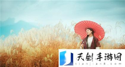 一品国精和二品国精的文化意义：独特的文化价值体现