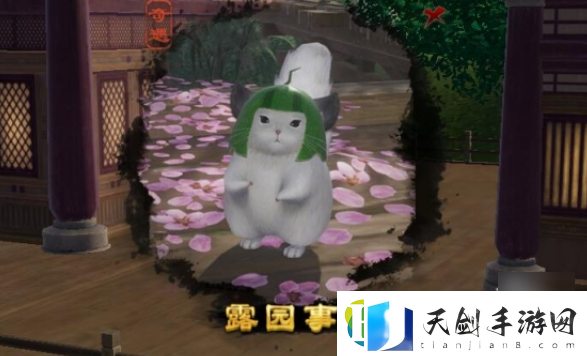 剑网3露园事宠物奇遇怎么做