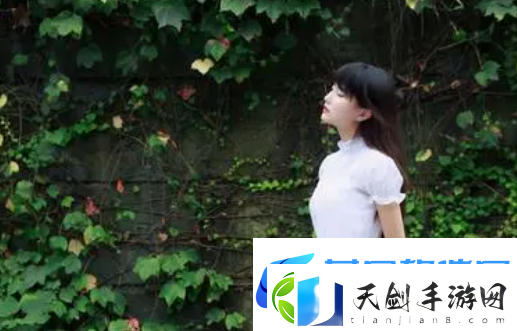小狐狸直播