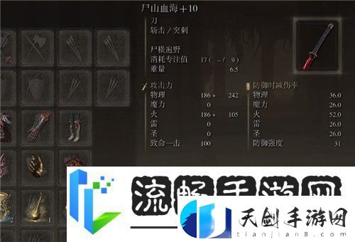 艾尔登法环尸山血海怎么加点-副本难度挑战与应对策略分享