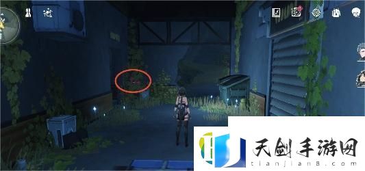 灯笼果位置分布位置