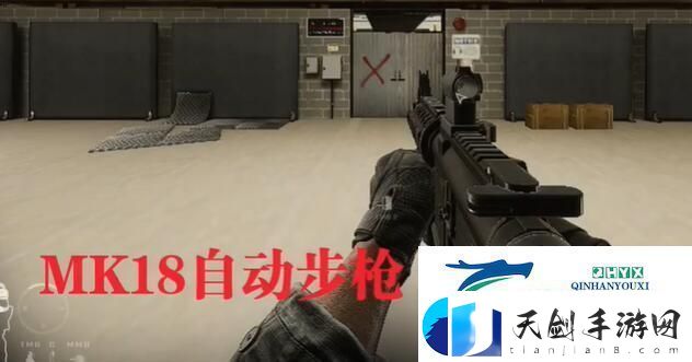 严阵以待什么枪好用