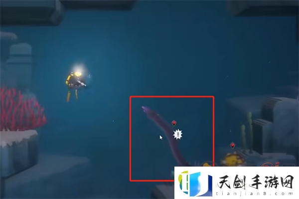 潜水员戴夫海鳝在哪