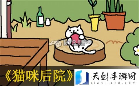 猫咪后院全猫收集解锁条件一览：宠物培养与技能搭配指南