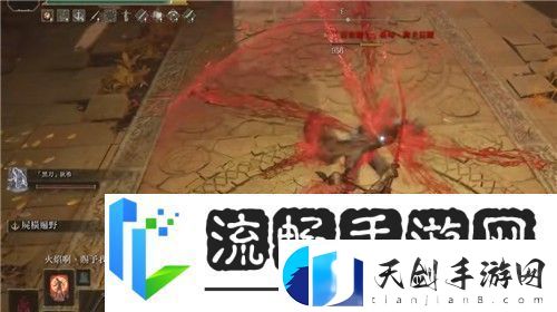 艾尔登法环尸山血海怎么加点