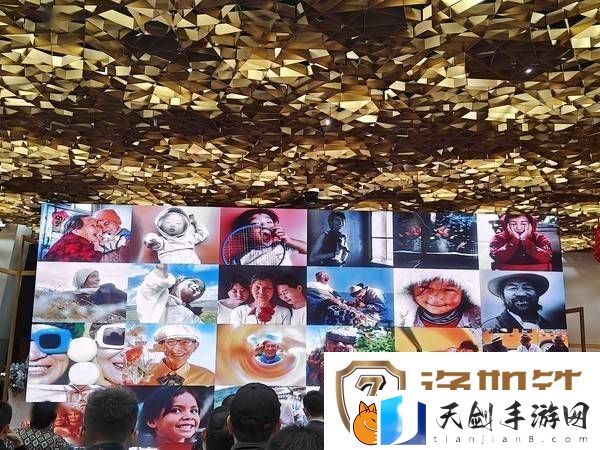 2024微博影像年颁奖落幕