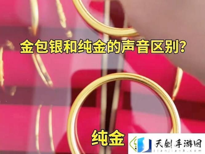 1—5集免费普通话版金银：探索中华文化与传统艺术之美