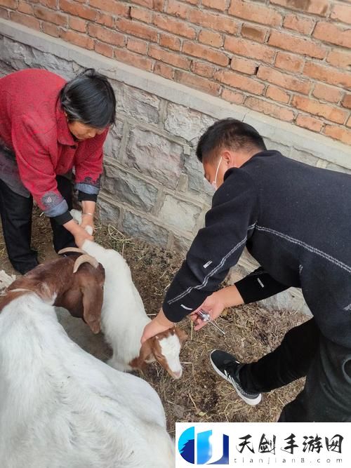 人与畜禽共性行为的心理学