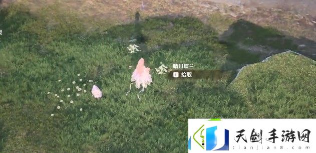 无限暖暖我是愿望神给我噗灵怎么做