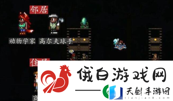 泰拉瑞亚npc最佳分配怎么分