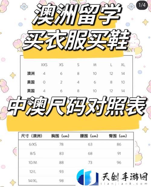 探究日亚M码与欧洲M码的区别：了解国际尺码标准