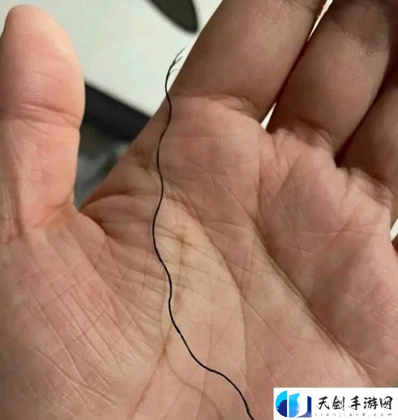 有一根又黑又硬的秘密
