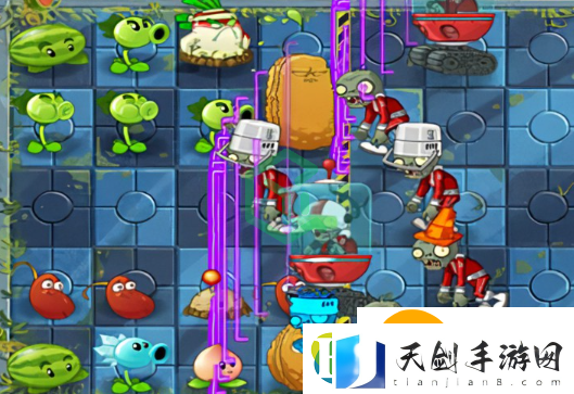植物大战僵尸杂交版v2.2DX错误怎么办
