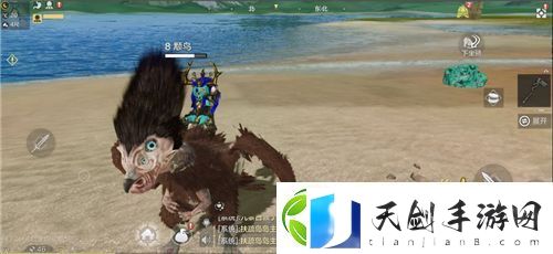 妄想山海颙鸟捕抓方法一览