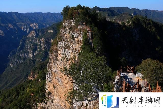 深度开发pop金银花：开拓新市场的机遇与挑战