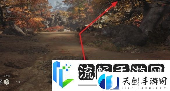 黑神话悟空珍玩日金乌获取方法