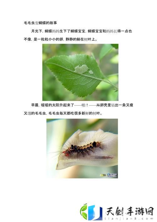 精致细腻他的舌头探进蜜源毛毛虫说说