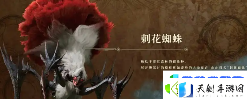 怪物猎人：荒野刺花蜘蛛弱点介绍