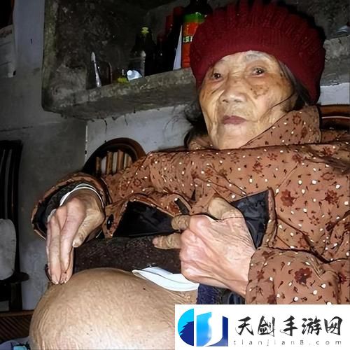 深度解析中国熟老太HDt∪be现象-引发网友热议