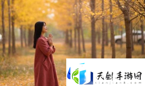 公主当着满朝大臣被谁抱着：权力与情感的激烈碰撞