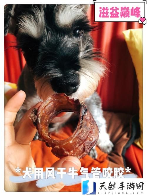 人狗胶配方大全狗狗，网友评价：味道好、营养全，狗狗喜欢吃！