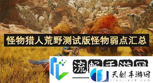 怪物猎人荒野测试版怪物弱点汇总