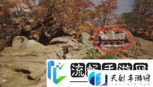 黑神话悟空珍玩日金乌获取方法