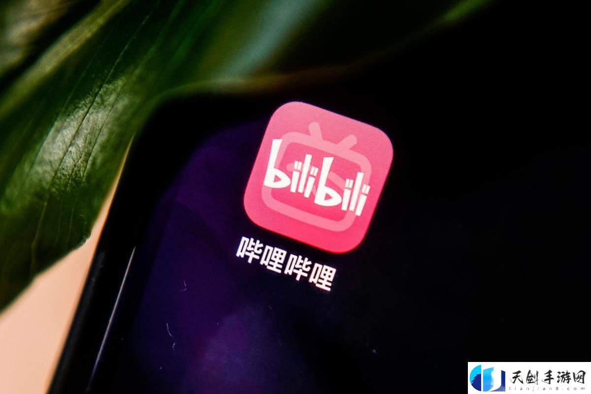 哔哩哔哩免费观看-网友：这才是追剧的正确姿势！