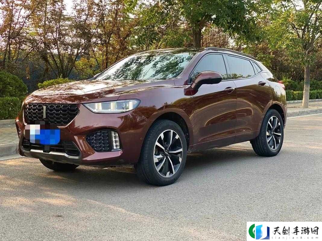 智能豪华超豪跑 SUV：Wey VV5 国产的 SUV