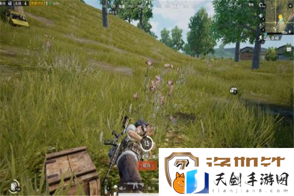 王者荣耀王昭君映山客皮肤什么时候上线
