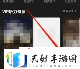 有道词典怎么复制查词通知