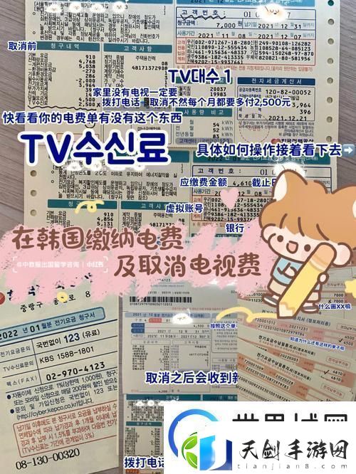 色彩斑斓的韩国三色电费
