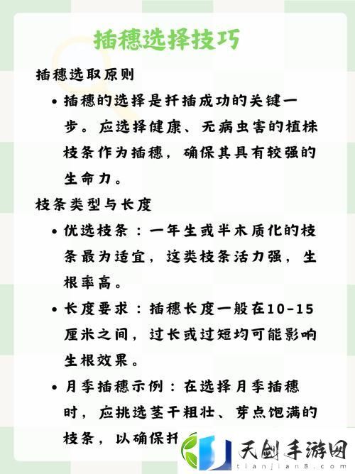 72种扦插方法-打造绿色生活的秘密