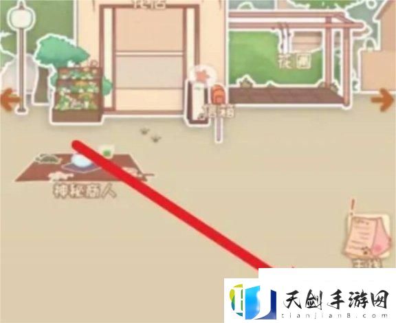 鹤望兰种子获得方法