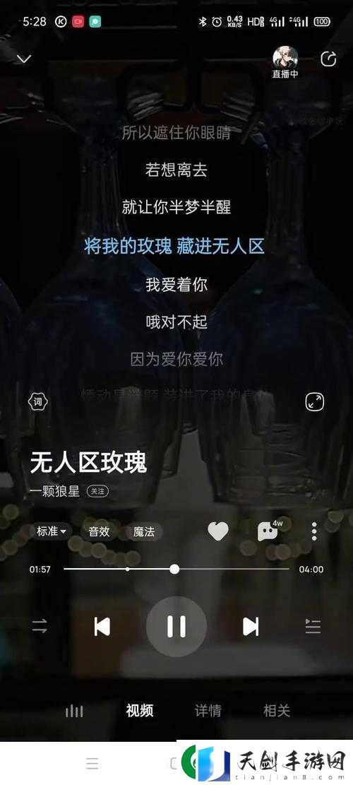 无人区玫瑰 MV 与一颗狼星：惊人相似的巧合
