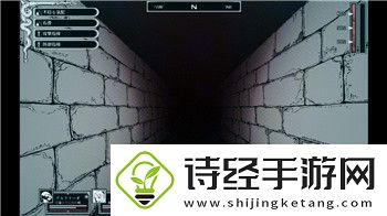 新盗墓笔记是单机吗-探讨游戏玩法与多人模式的可能性
