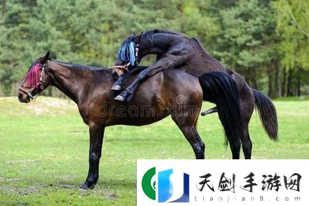 “交流配”奇葩说