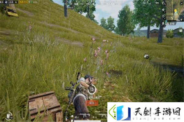 斗破苍穹手游的特效呈现究竟如何-带你领略视觉盛宴与游戏之美的完美结合！
