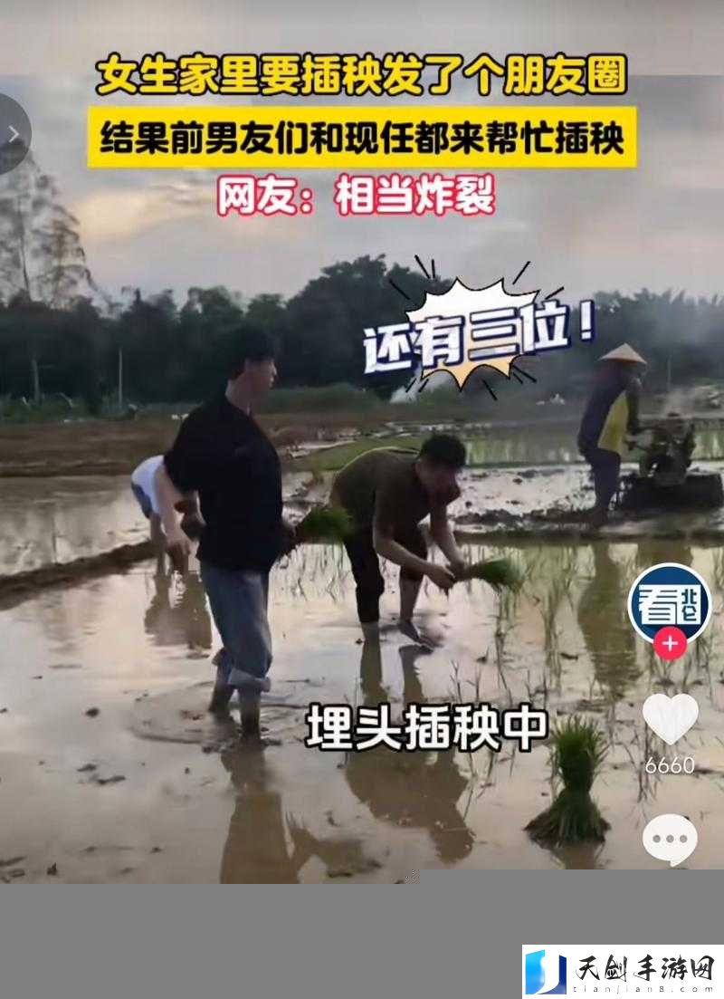 男友说想插秧了，该怎么回复？