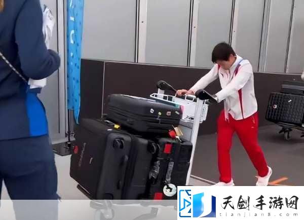 我才是巧手搬运工