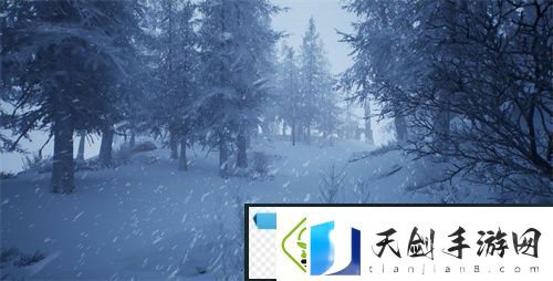 黑光生存进化首测资格不限量放送
