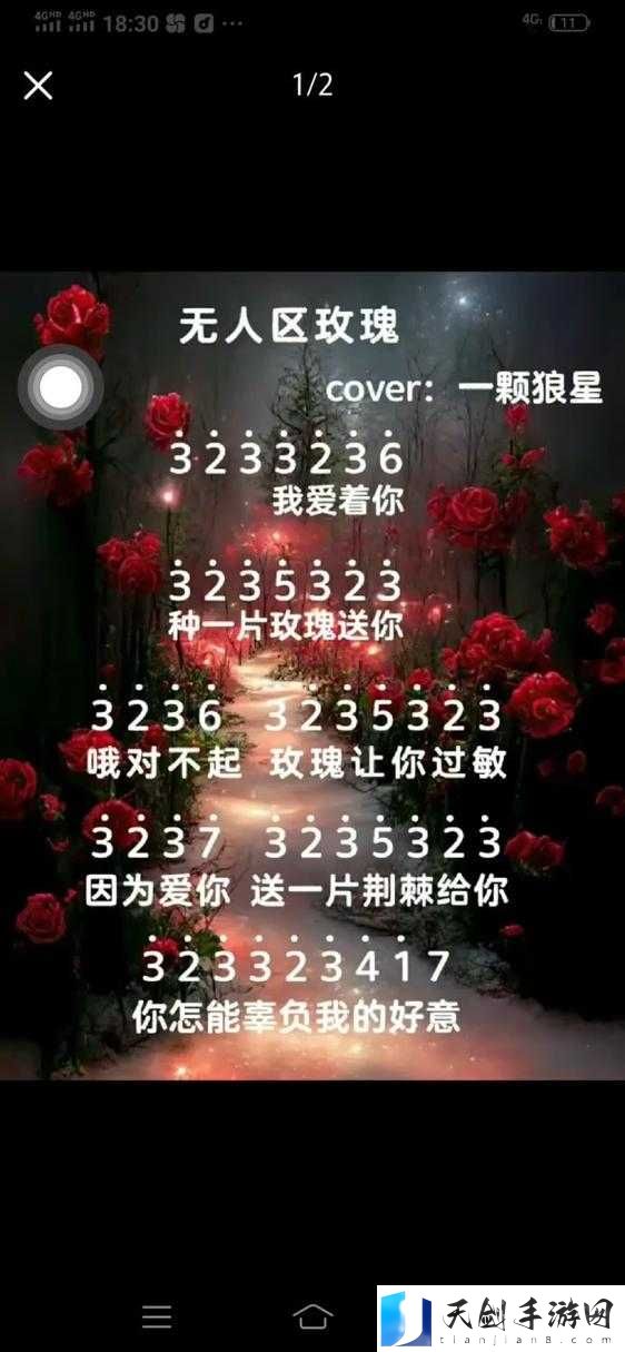 无人区玫瑰 MV 与一颗狼星相似之独特呈现