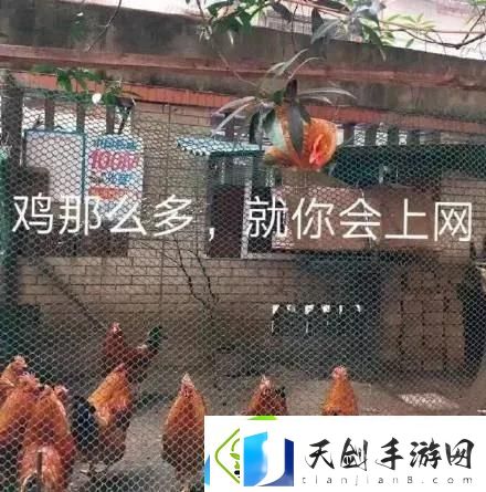 这幅画名字叫我在食堂找不到位置表情包