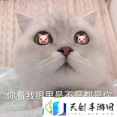 这幅画名字叫我在食堂找不到位置表情包