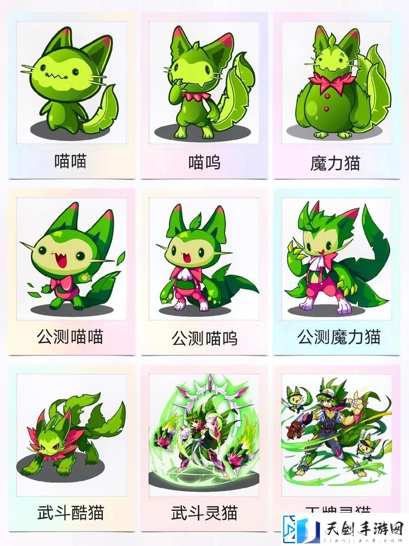 洛克王国减肥猫怎么玩-洛克王国减肥猫玩法攻略